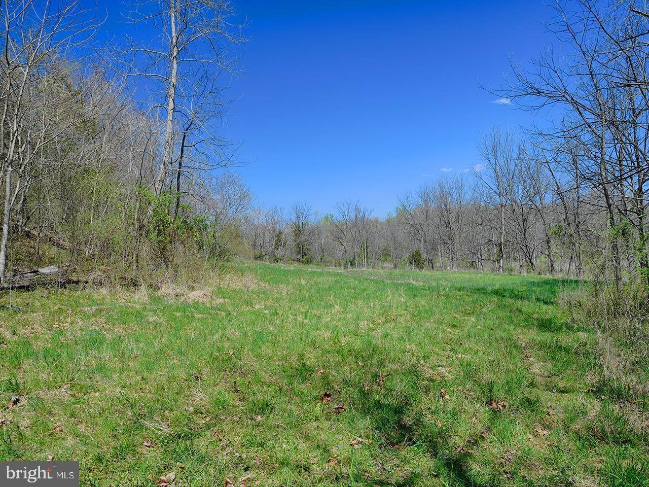 10. Land for Sale at Faber, Virginia 22938 United States