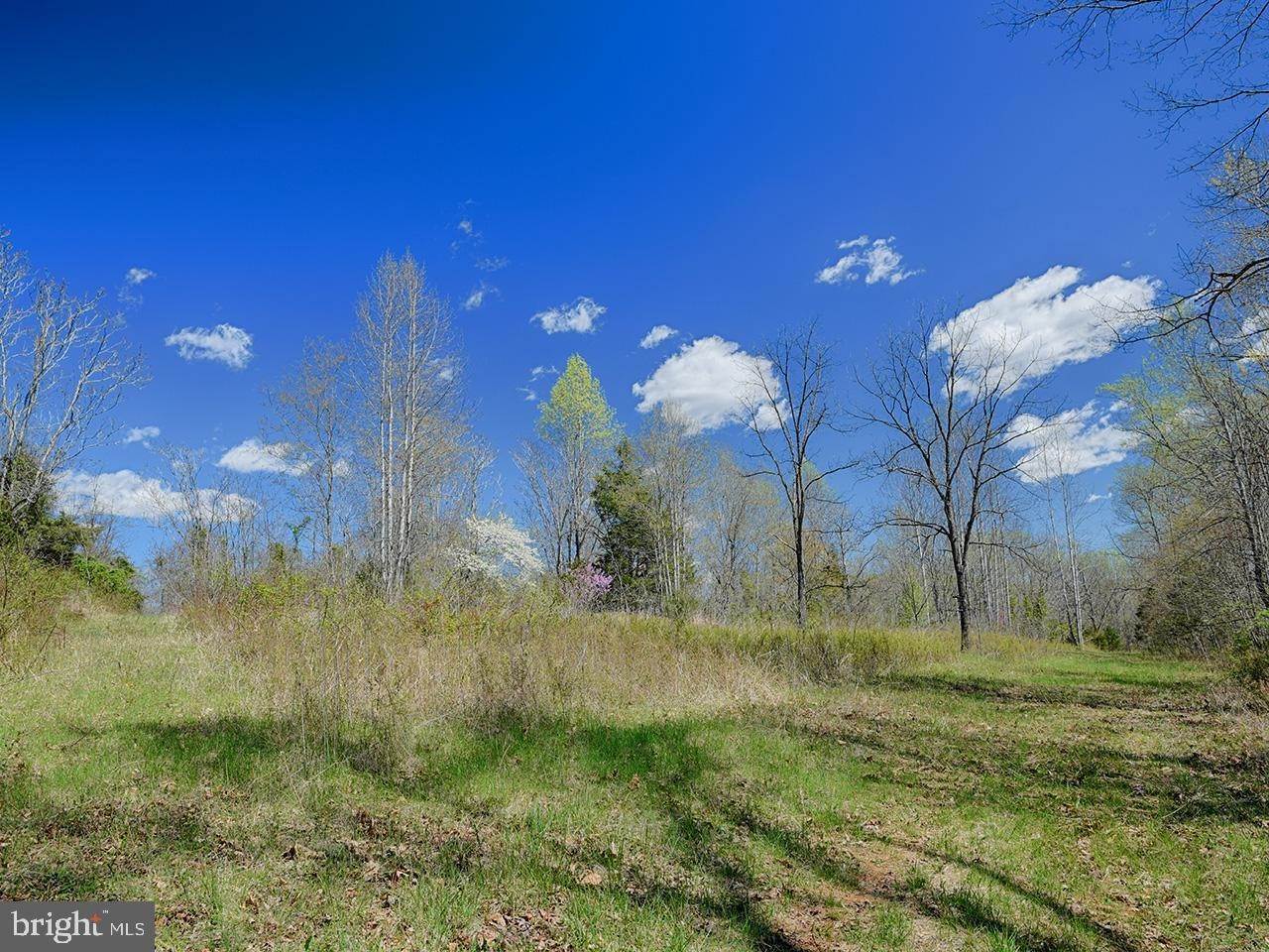 8. Land for Sale at Faber, Virginia 22938 United States