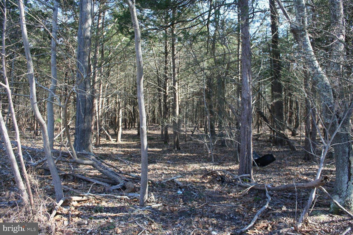 Land for Sale at Franklinville, New Jersey 08322 United States