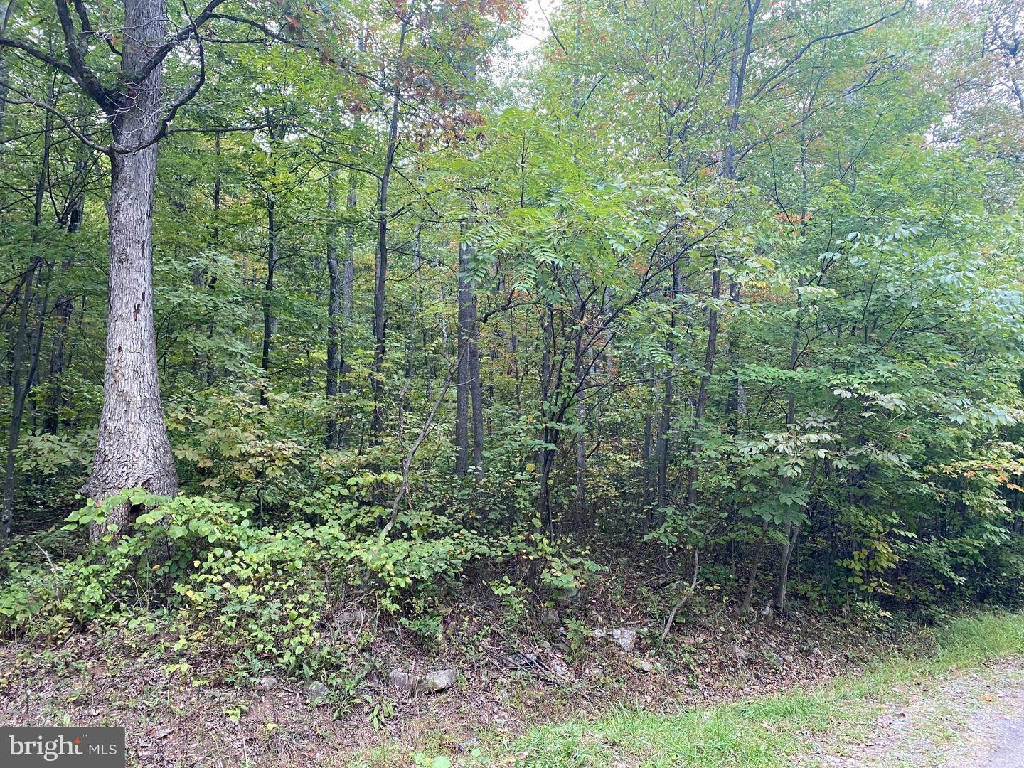 Land for Sale at Paw Paw, West Virginia 25434 United States