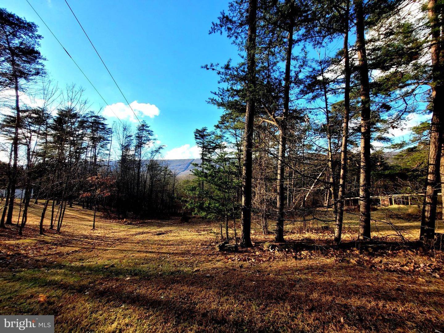 Land for Sale at James Creek, Pennsylvania 16657 United States