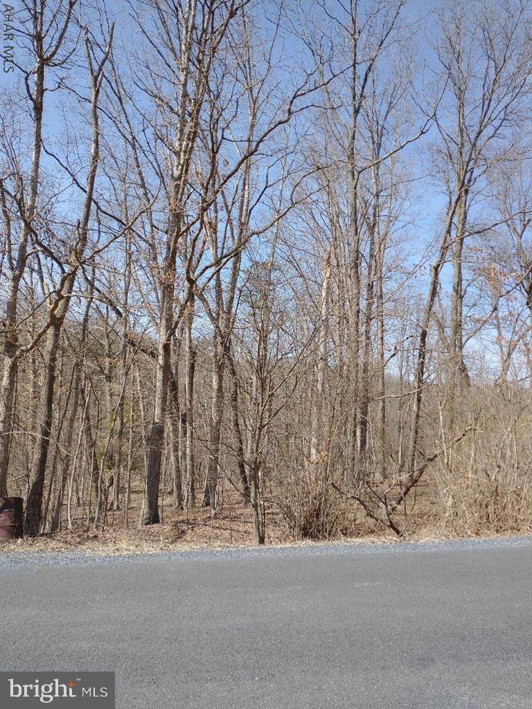 Land for Sale at Bedford, Pennsylvania 15522 United States