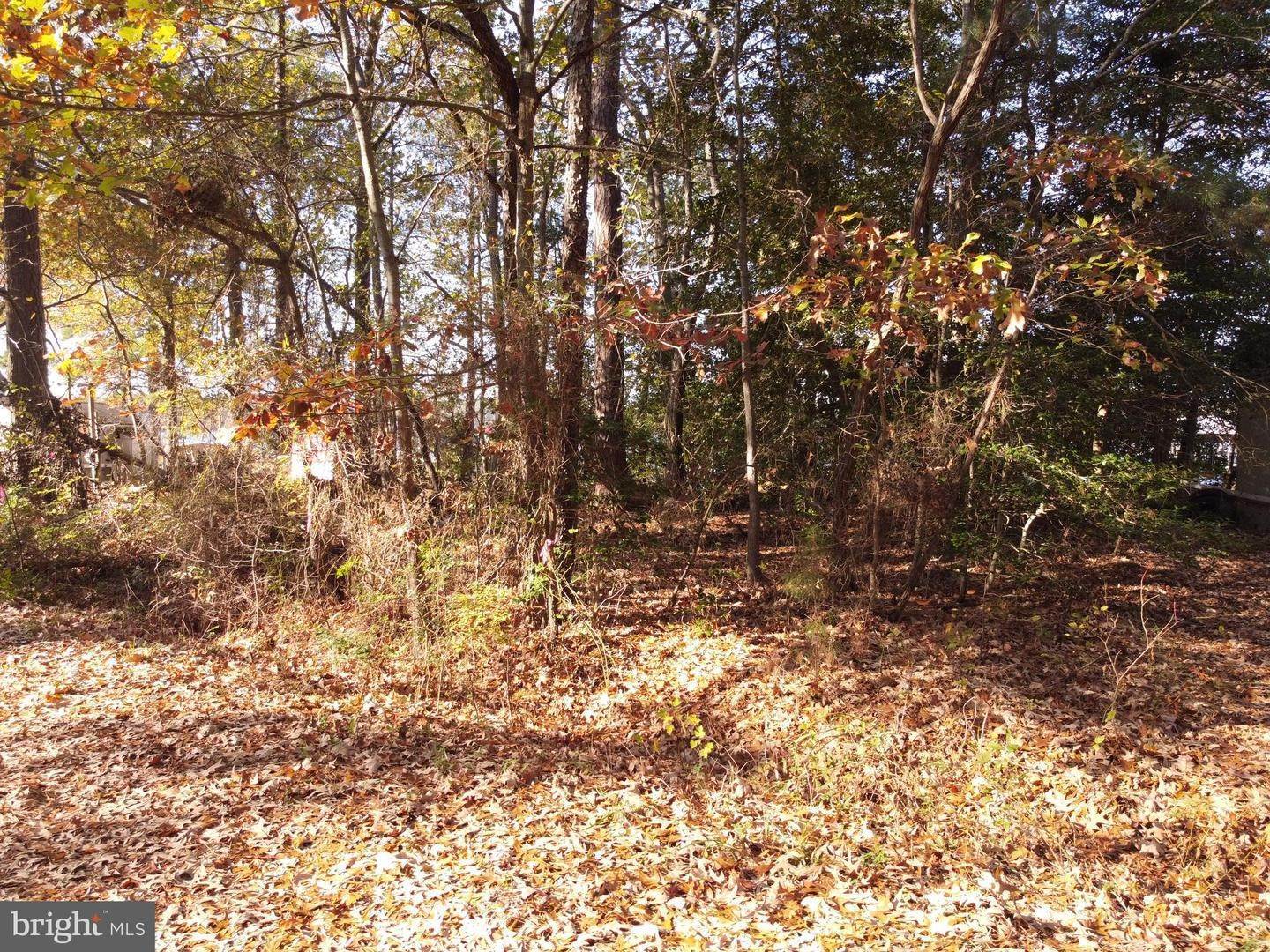 Land for Sale at Kinsale, Virginia 22488 United States
