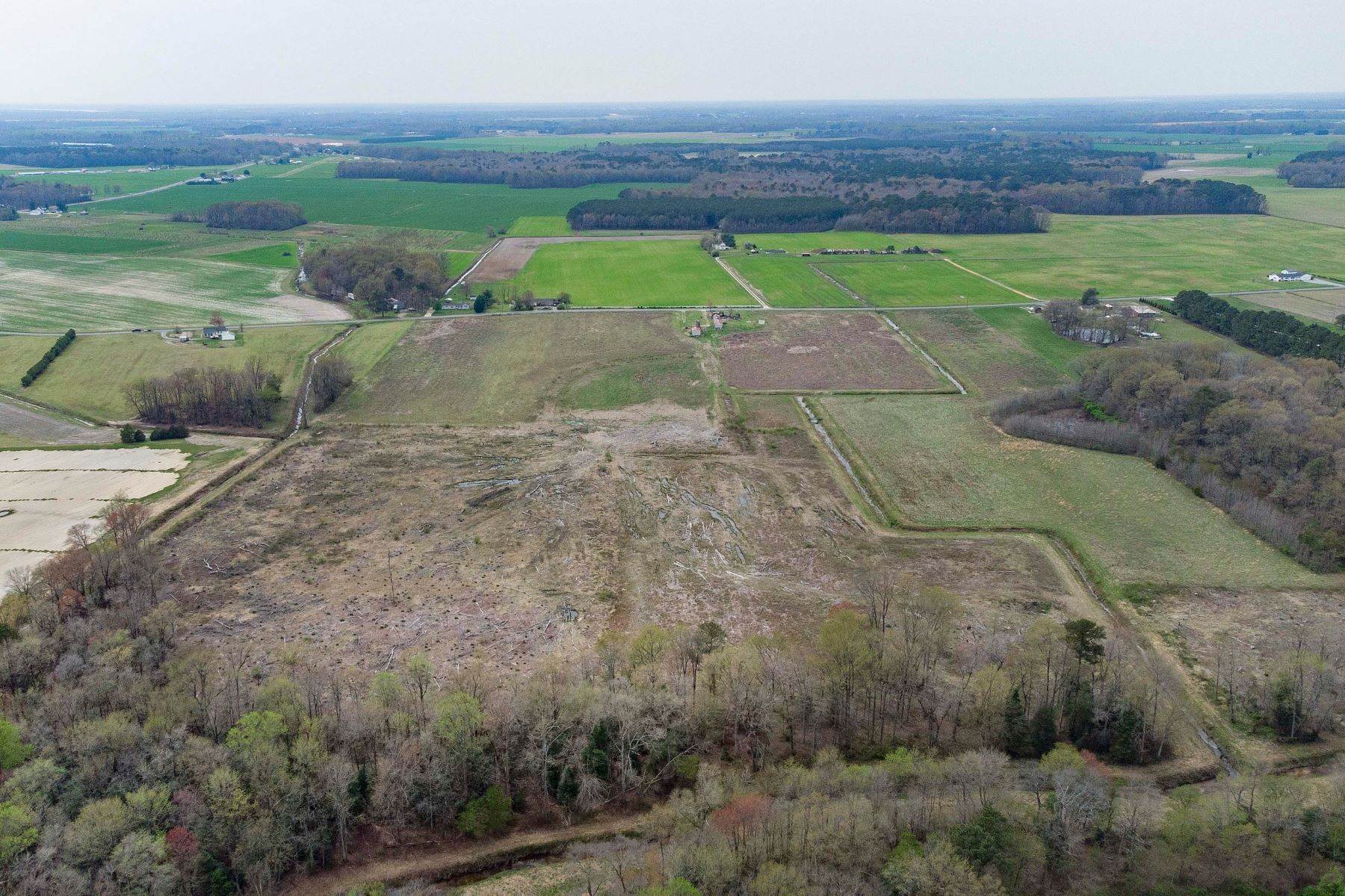 Land for Sale at Federalsburg 60 Acre Parcel 3835 Seippes Road, Federalsburg, Maryland 21632 United States
