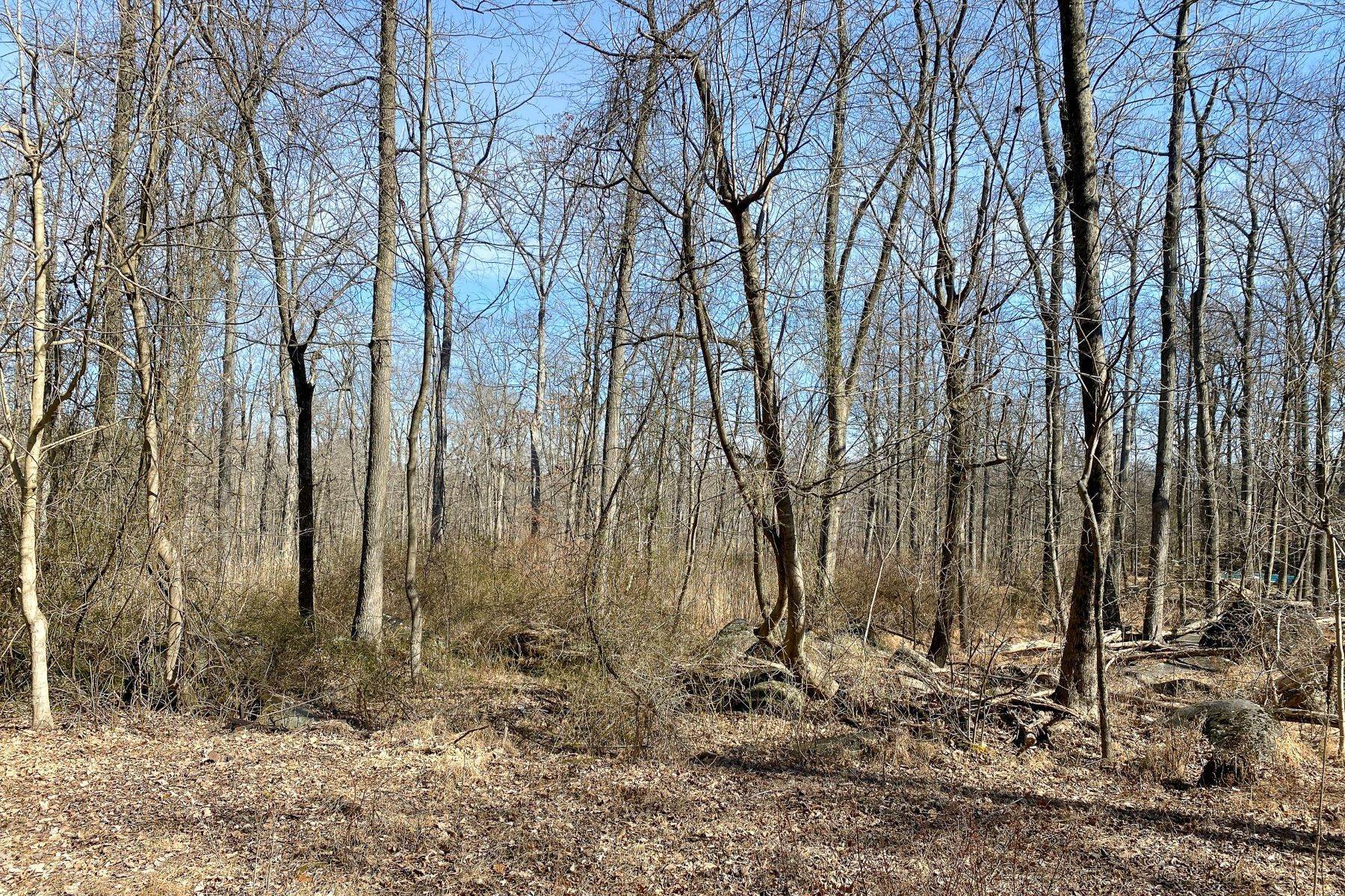 2. Land for Sale at 2 Acre Parcel Available 17 Zion Road, Hopewell, New Jersey 08525 United States